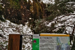 nilsascartchorlon