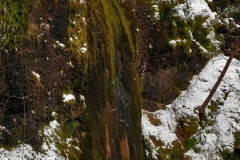 nilsascascada