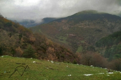 nilsasvistas5